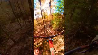 King Kong Trail ✅✅🔥🍁🍂 downhillmountainbiking mtb extremesport mountainbikeaction [upl. by Eenel]