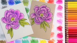 Arteza Colored Pencil Review amp Demo Coloring on Toned vs White Paper [upl. by Jerald]