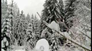 TV3 Christmas ident 2009  Snow [upl. by Ahsienar]