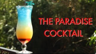 How To Make A Paradise Tropical Layered Cocktail  Drinks Made Easy [upl. by Charleen329]