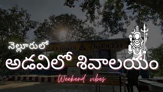 Adavilo Shivalayam  Nellore weekendvibes [upl. by Anialem]