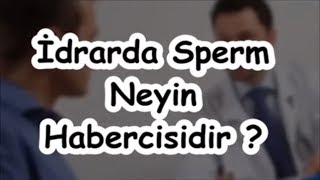 İdrarda Sperm Neyin Habercisidir [upl. by Eca]