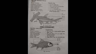 Biology 2nd paper practicalHSC 2022Biology [upl. by Engeddi]