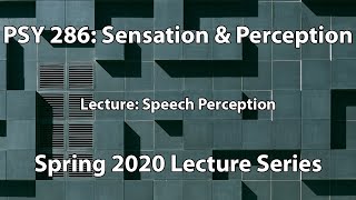 Speech Perception  Sensation amp Perception PSY 286 [upl. by Dominus711]