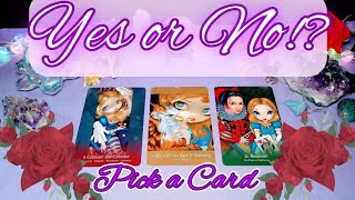 Yes No or Maybe✨😍💕 • Detailed Tarot Pick a Card Reading [upl. by Eal]