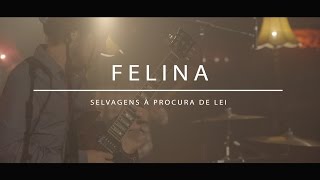 Selvagens à Procura de Lei  Felina AudioArena Originals [upl. by Elkcim]