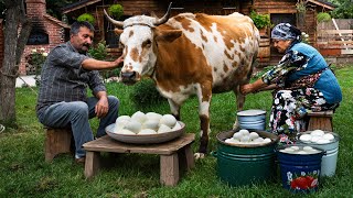 Fresh Adana Cheese from Cows Milk A Village Tradition 🐄🍃 [upl. by Isabea]