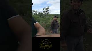 LA FLECHA DE LOS INDIOS shortvideo prehispanico [upl. by Meg370]