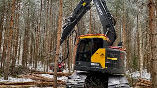 Gallring med Volvo grävmaskin och Logmax [upl. by Kosse]