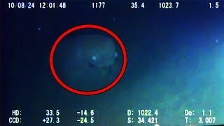 12 Mysterious Underwater Creatures Caught on Tape [upl. by Delmor395]