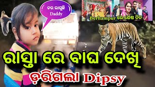 ରାସ୍ତା ରେ ବାଘ ଦେଖି ଡ଼ରିଗଲା Dipsy🐅ବ୍ରହ୍ମପୁର ରେ ଶେଷ ଦିନMisty Swati Sai Odia Vlogs Video 🙏❤️🙏🧿 [upl. by Aramot]