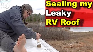 Solo Woman Fixes RV Roof with Flex Seal [upl. by Eibbed983]