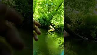 INSANE BOBBER DOWN Summer Steelhead [upl. by Moitoso123]