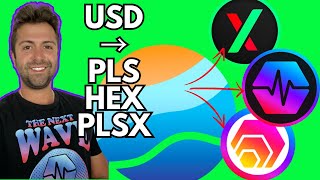 USA Unlocked PulseChain Update Best Crypto Exchange How To Buy PulseChain HEX and PulseX [upl. by Niccolo]