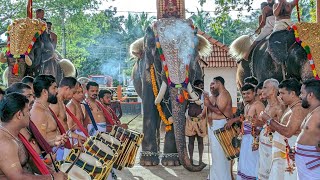 Pisharikavu Ambalam Temple Seeveli Chenda Melam  Elephant  Aana  Navami Aaghosham 2024 Oct 12 [upl. by Klemperer186]