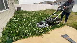 EGO LAWN MOWER 1ST CUT OF THE YEAR 2024 [upl. by Adnwahsor556]