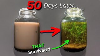 I Opened a Sealed Jar of Lake Water After 50 Days [upl. by Noryv]