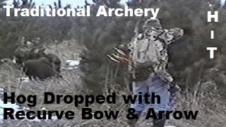 Hog DROPPED With Recurve BOW amp ARROW spot and stalk hunt how we use traditional recurve bow [upl. by Ahsinor]