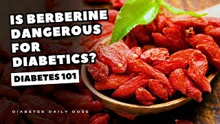 Is Berberine Dangerous For Diabetics [upl. by Zara]