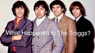 What Happened to The Troggs [upl. by Jana]