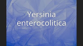 Yersinia enterocolitica [upl. by Atse856]