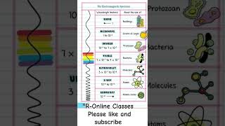 Electromagnetic Spectrum and their size comparison electromagnetism spectrum light physics [upl. by Nanaek742]