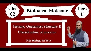 Biology Ch02Lecture15 Tertiaryquaternary structureamp Proteins classification FSc 1st Year [upl. by Akinehc]