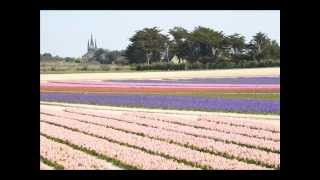 LES TULIPES BIGOUDENNES [upl. by Alrahc339]