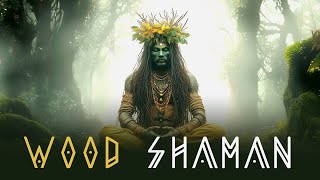 Shamanic Drum Healing To Open 3rd Eye and Raise Your Vibration ❤❤❤ [upl. by Jonathon285]