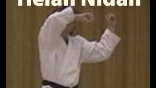 Heian Nidan  Shotokan Karate Kata [upl. by Perren296]