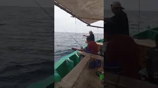 Mancing ikan di laut pantai Utara Jawa fishing fish rawapening [upl. by Kahlil]