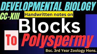 Blocks to polyspermy ll what is polyspermy blocks to polyspermy in developmental biology ll CCXIII [upl. by Earas]