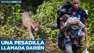 Así Niños Cruzan el tapón del Darién Nunca Creerás Lo que Enfrentan en la Selva  Testigo Directo [upl. by Rehpotsirk]