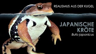 Japanische Kröte  Azuma Toad  Bufo japonicus  realistisches Modell  Gashapon Unboxing amp Review [upl. by Billye619]