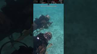 How Recon Marines Navigate Underwater with the TAC100 Compass Board [upl. by Eveneg]