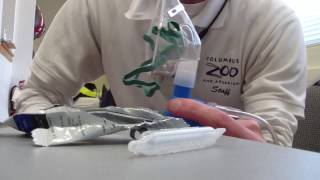 How to Prepare Albuterol and use it in a Nebulizer [upl. by Akkinahs]