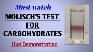 Molischs test for carbohydrates  biochemistry [upl. by Nata]