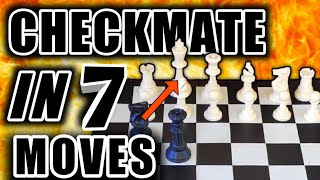 Win Chess Game in Just 7 Moves Using this Trick Blackburne Shilling Gambit [upl. by Heti]