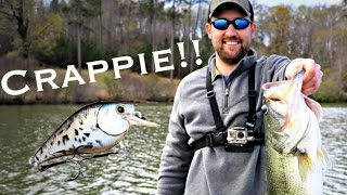 New PB on a Custom Painted Crappie Crankbait [upl. by Affay]