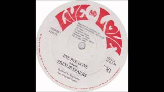 Trevor Sparks Bye Bye Love [upl. by Aiekat591]