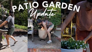 Fountain Flower Border amp Potted Flower Ideas VLOG [upl. by Doss]