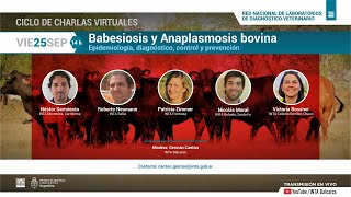 Babesiosis y Anaplasmosis bovina Epidemiologia diagnóstico control y prevención [upl. by Atinhoj]