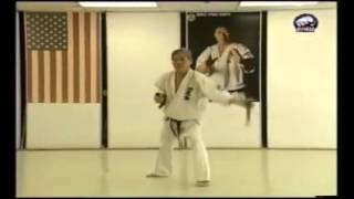 Tonfa Kata mp4 [upl. by Jacquette568]