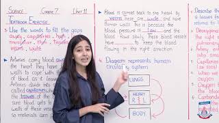 Class 7  Science  Chapter 11  Lecture 25 Textbook Exercise Q 34  Allied Schools [upl. by Olram]