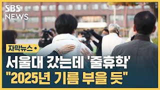 서울대 갔는데 줄휴학…quot2025년 기름 부을 듯quot 자막뉴스  SBS [upl. by Neeruan]