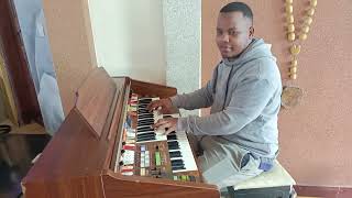 Mkatoliki na Emil Shayo  Organ Perfomance by Organist John [upl. by Harsho]