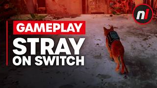 Stray Nintendo Switch Gameplay [upl. by Ocicnarf634]