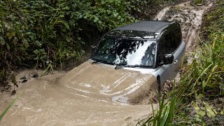 New Land Rover Defender P300  Extreme OFFROAD Test Drive [upl. by Zima]