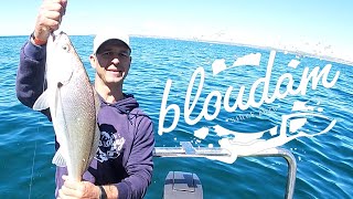 FISHING SOUTH AFRICA 2020  MOSSELBAY KABELJOU [upl. by Sac414]