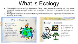 What is ecology and ecosystem classification of ecosystem [upl. by Winther]